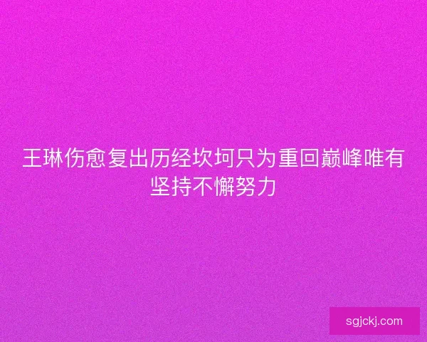 王琳伤愈复出历经坎坷只为重回巅峰唯有坚持不懈努力